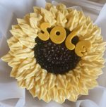 bentocake